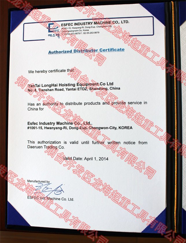 DONGSUNG東星氣動平衡器授權書 DONGSUNG東星氣動平衡器授權書