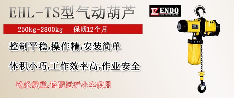 EHL-TS型氣動(dòng)葫蘆圖片 EHL-TS型氣動(dòng)葫蘆圖片